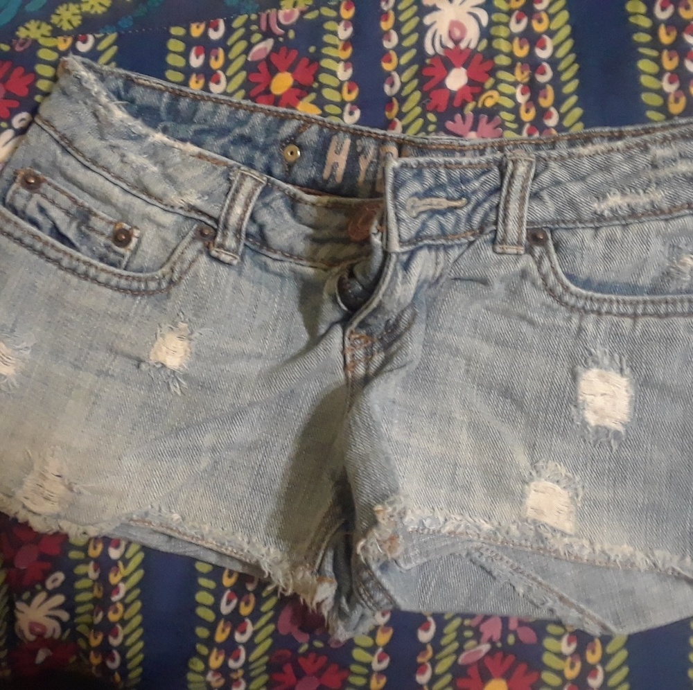 HYDRAULIC  DESTROYED shorts size 1/2